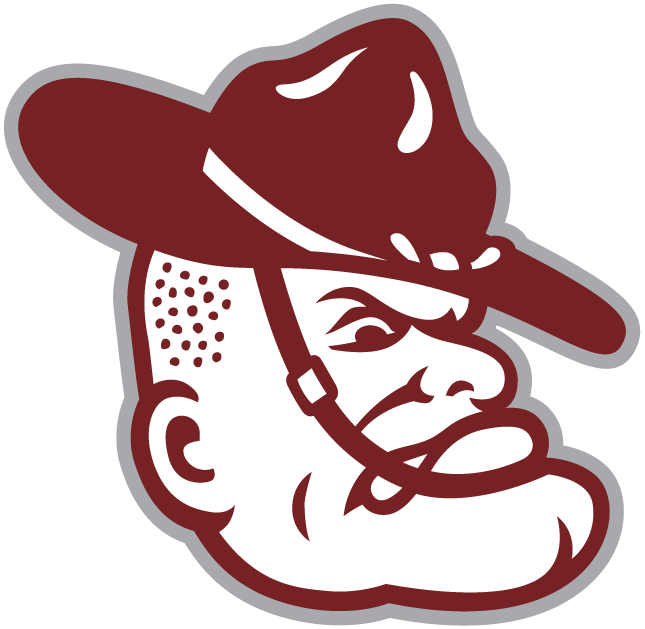 Texas A&M Aggies 2001-Pres Mascot Logo diy iron on heat transfer